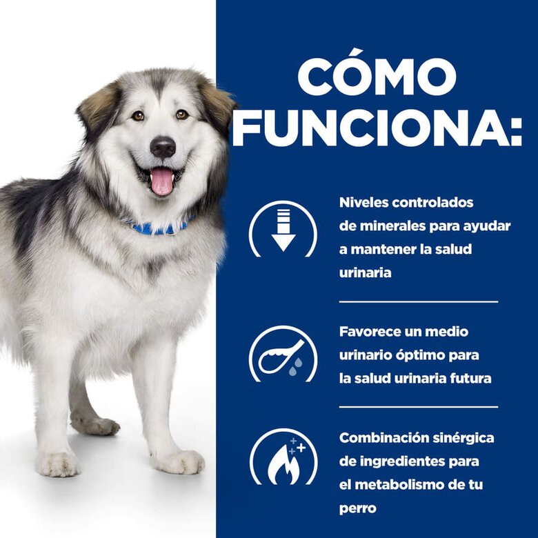 Hill's Prescription Diet Urinary + Metabolic c/d pienso para perros, , large image number null